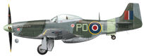 32003 - 1/32  Mustangs over Europe Part 1 Nos. 303 & 309 Squadrons (kalkomanie) - 6