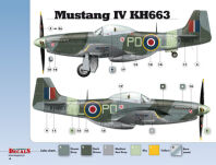 32003 - 1/32  Mustangs over Europe Part 1 Nos. 303 & 309 Squadrons (kalkomanie) - 4