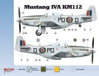 32003 - 1/32  Mustangs over Europe Part 1 Nos. 303 & 309 Squadrons (kalkomanie) - 5