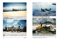 19007 - P-47 Thunderbolt wiht the USAAF - in the MTO, Asia and Pacific - 6